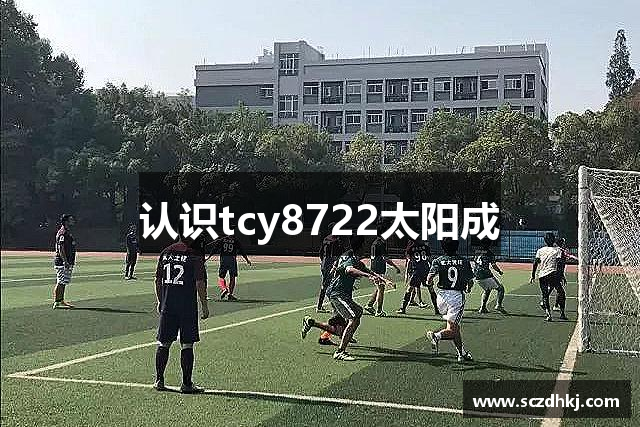 认识tcy8722太阳成